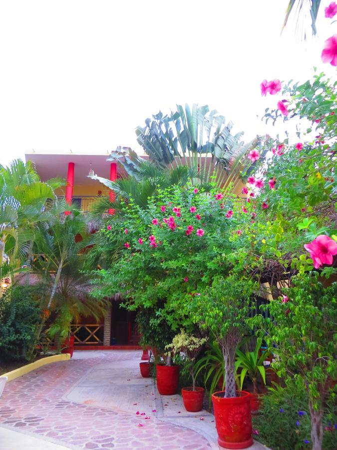 La Cruz de Huanacaxtle La Cruz Inn מראה חיצוני תמונה